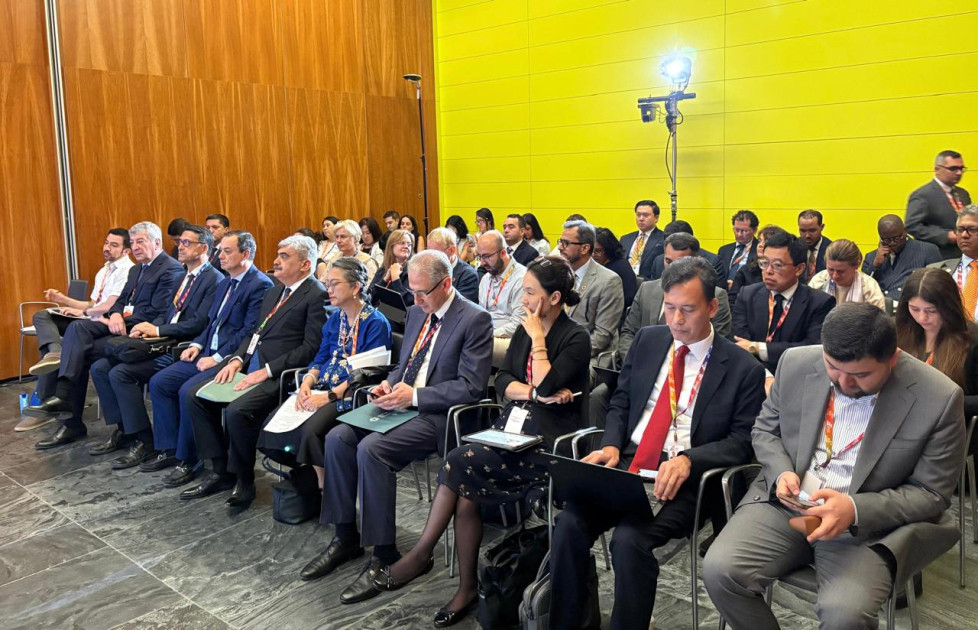Prezidentin İqlim məsələləri üzrə nümayəndəsi Muxtar Babayev: COP29 sədrliyi qlobal iqlim fəaliyyətinə uğurla töhfə verməyə davam edəcək<font color=red> - FOTOLAR</font>