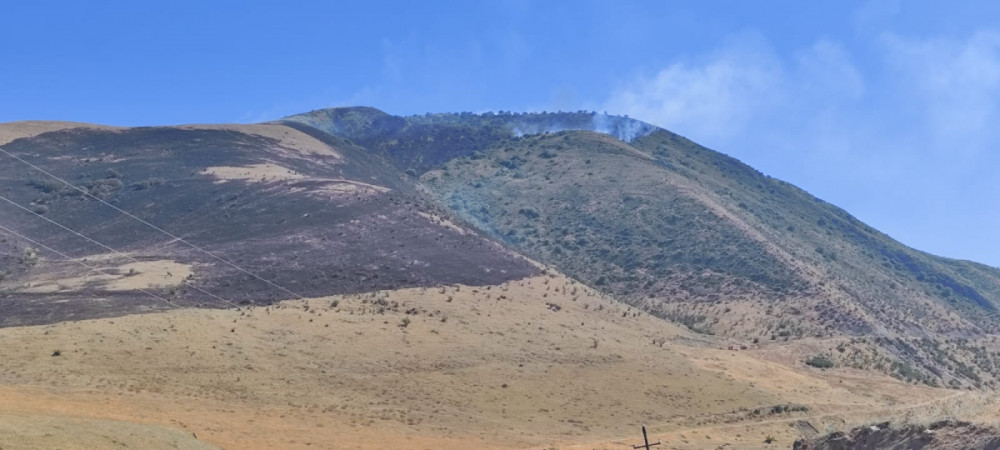 Siyəzəndə dağlıq ərazidə yanğın başlayıb<font color=red> - FOTOLAR</font>