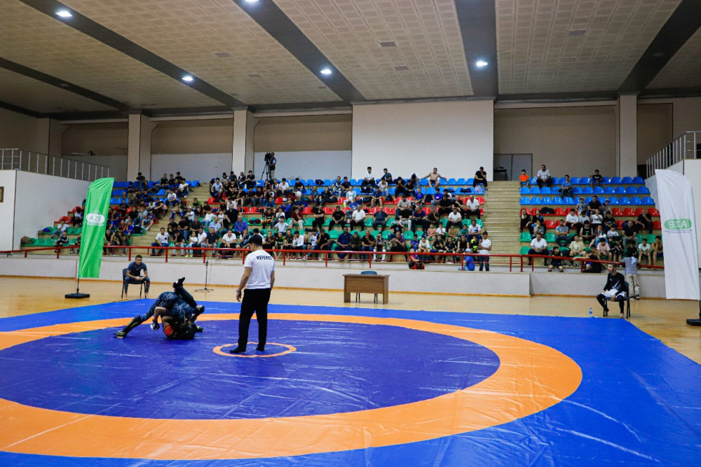 Naxçıvanda MMA üzrə açıq birincilik keçirilib <font color=red> - FOTOLAR</font>