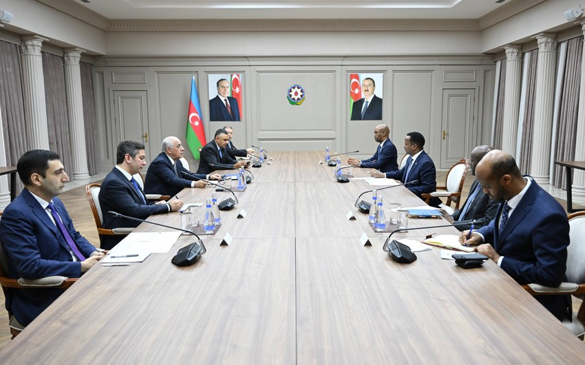Əli Əsədov Somalinin xarici işlər və beynəlxalq əməkdaşlıq naziri ilə görüşüb<font color=red> - FOTOLAR</font>
