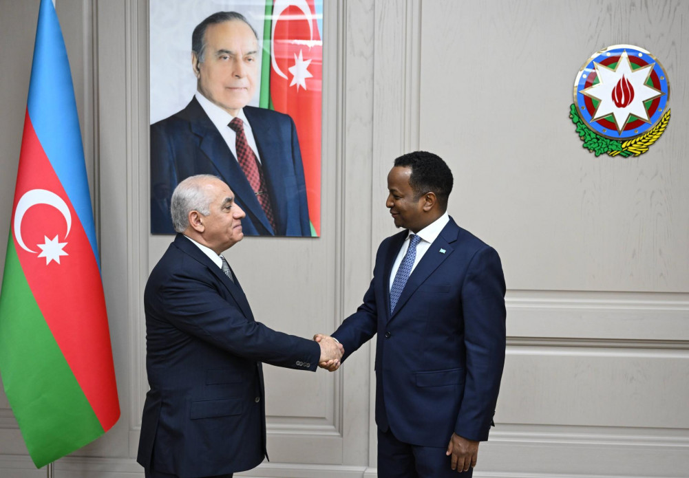 Əli Əsədov Somalinin xarici işlər və beynəlxalq əməkdaşlıq naziri ilə görüşüb<font color=red> - FOTOLAR</font>