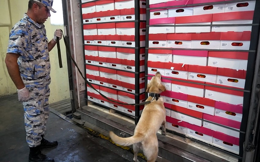 Astara Gömrük İdarəsində uğurlu əməliyyat nəticəsində 103,3 kq narkotik aşkarlanıb<font color=red> - FOTOLAR</font>