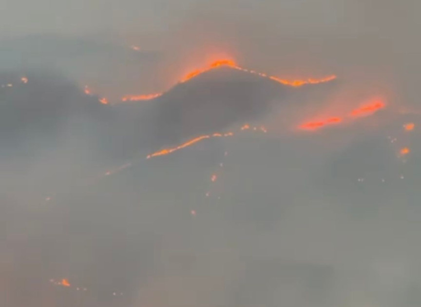 DİN: Zəngilanda yanğın törədən şəxs müəyyən edilib<font color=red> - FOTOLAR</font>