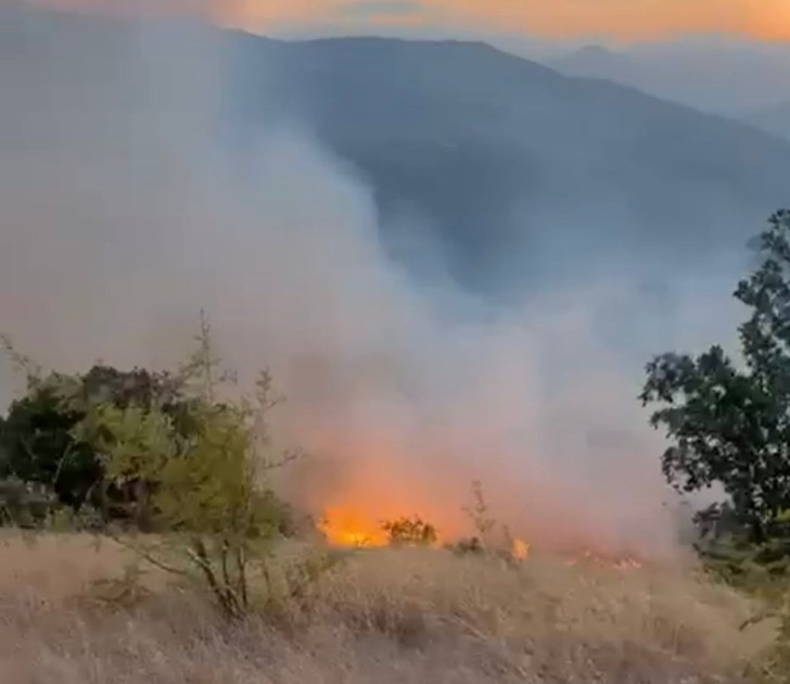 DİN: Zəngilanda yanğın törədən şəxs müəyyən edilib<font color=red> - FOTOLAR</font>