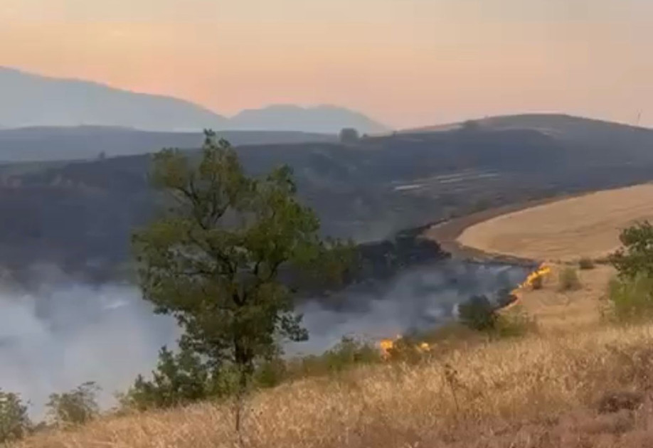 DİN: Zəngilanda yanğın törədən şəxs müəyyən edilib<font color=red> - FOTOLAR</font>