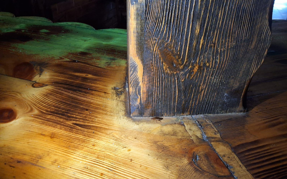 Naxçıvan şəhərində yerləşən "Faytonçu" kafenin fəaliyyəti məhdudlaşdırılıb <font color=red> - FOTOLAR</font>