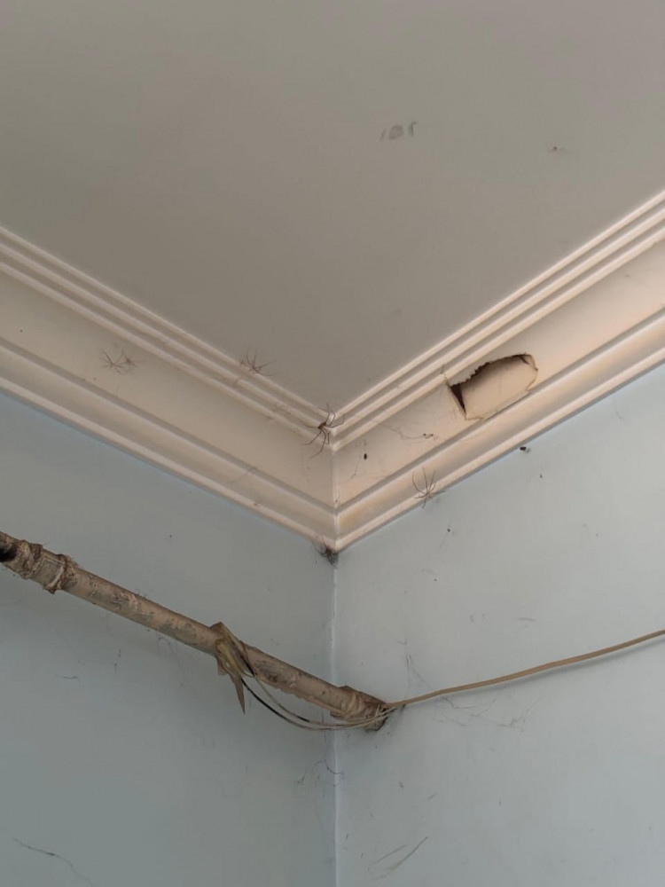 Şahbuz şəhərində yerləşən kafenin fəaliyyəti məhdudlaşdırılıb<font color=red> - FOTOLAR</font>