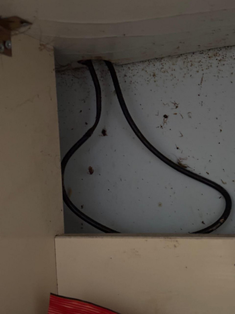 Şahbuz şəhərində yerləşən kafenin fəaliyyəti məhdudlaşdırılıb<font color=red> - FOTOLAR</font>