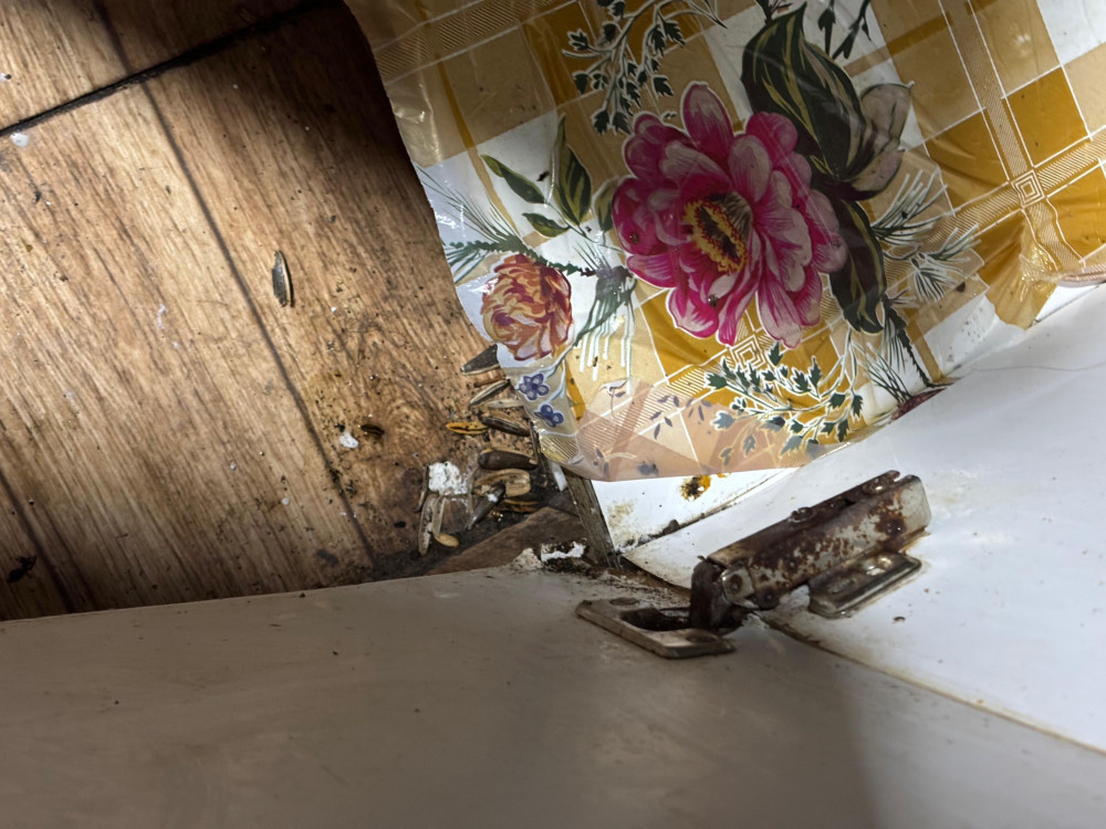 Culfada kafedə ciddi nöqsanlar aşkarlanıb, fəaliyyəti məhdudlaşdırılıb<font color=red> - FOTOLAR</font>