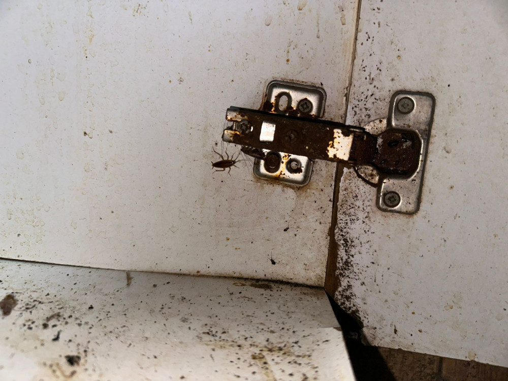 Culfada kafedə ciddi nöqsanlar aşkarlanıb, fəaliyyəti məhdudlaşdırılıb<font color=red> - FOTOLAR</font>