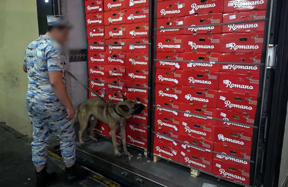 Azərbaycan gömrükçüləri 30 kiloqramdan artıq narkotik vasitə aşkar ediblər<font color=red> - FOTOLAR</font>