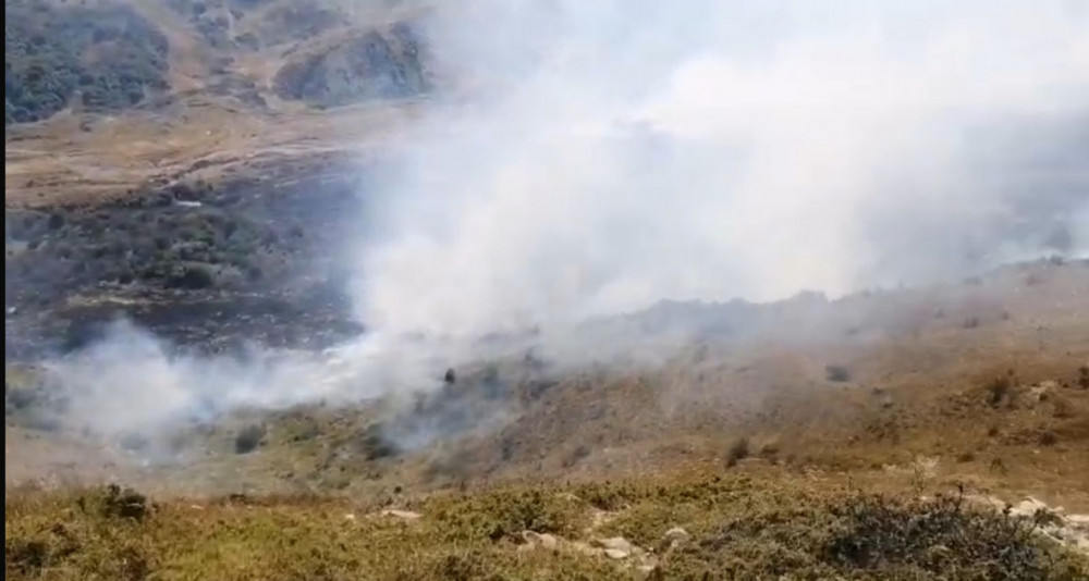 İsmayıllının dağlıq ərazilərində yanğın baş verib<font color=red> - FOTOLAR</font>