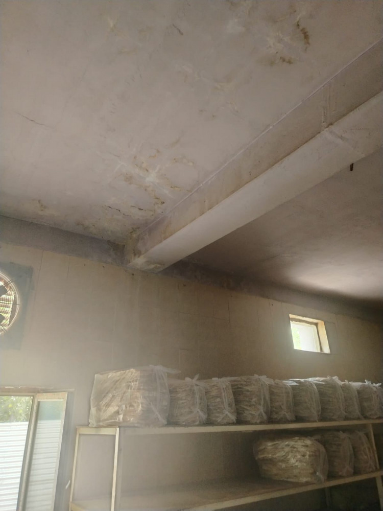 Kəngərli rayonunda çörək emalı müəssisəsinin fəaliyyəti məhdudlaşdırılıb<font color=red> - FOTOLAR</font>