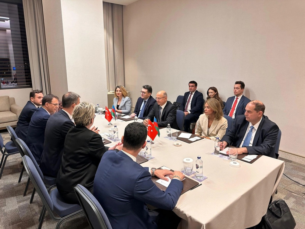 Türkiyənin külək enerjisi şirkətləri Azərbaycana dəvət olunub <font color=red> - FOTOLAR</font>