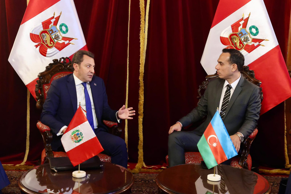 Azərbaycanın və Perunun Xarici İşlər nazirlikləri arasında ilk siyasi məsləhətləşmələr keçirilib<font color=red> - FOTOLAR</font>