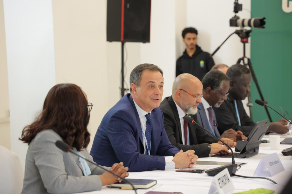 Afrika Azərbaycanın iqlim və sülh sahəsindəki diplomatik fəaliyyətini yüksək qiymətləndirir<font color=red> - FOTOLAR</font>