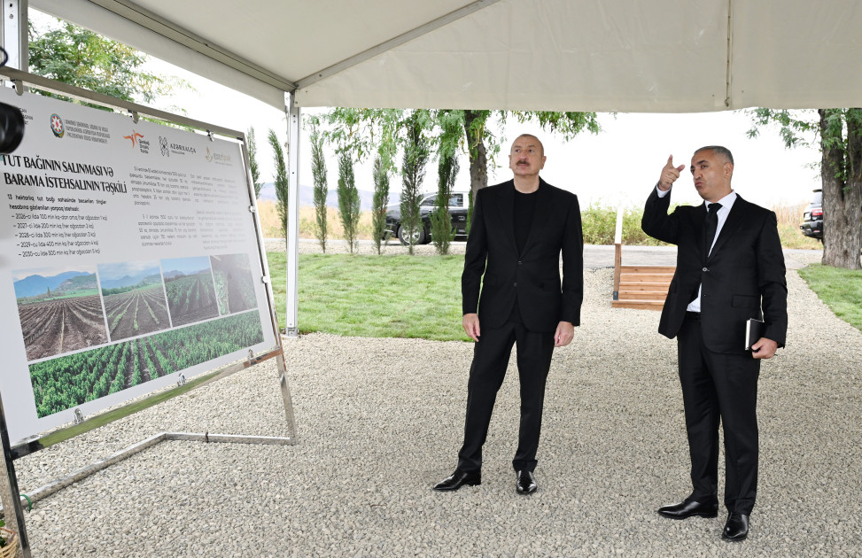 Prezident İlham Əliyev Xocalının Daşbulaq kəndində tut bağında görülmüş işlərlə tanış olub<font color=red> - FOTOLAR</font>