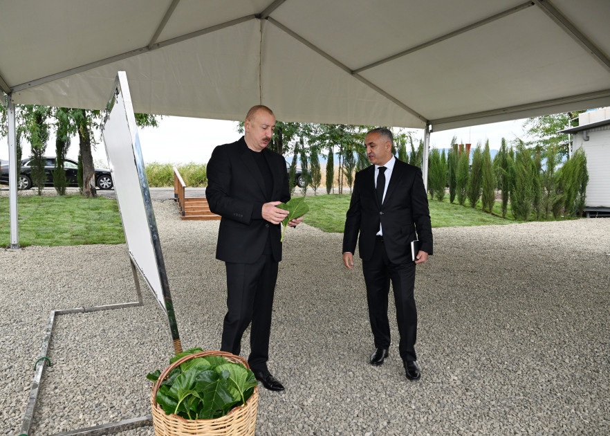 Prezident İlham Əliyev Xocalının Daşbulaq kəndində tut bağında görülmüş işlərlə tanış olub<font color=red> - FOTOLAR</font>