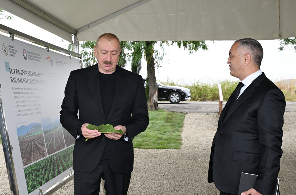 Prezident İlham Əliyev Xocalının Daşbulaq kəndində tut bağında görülmüş işlərlə tanış olub<font color=red> - FOTOLAR</font>