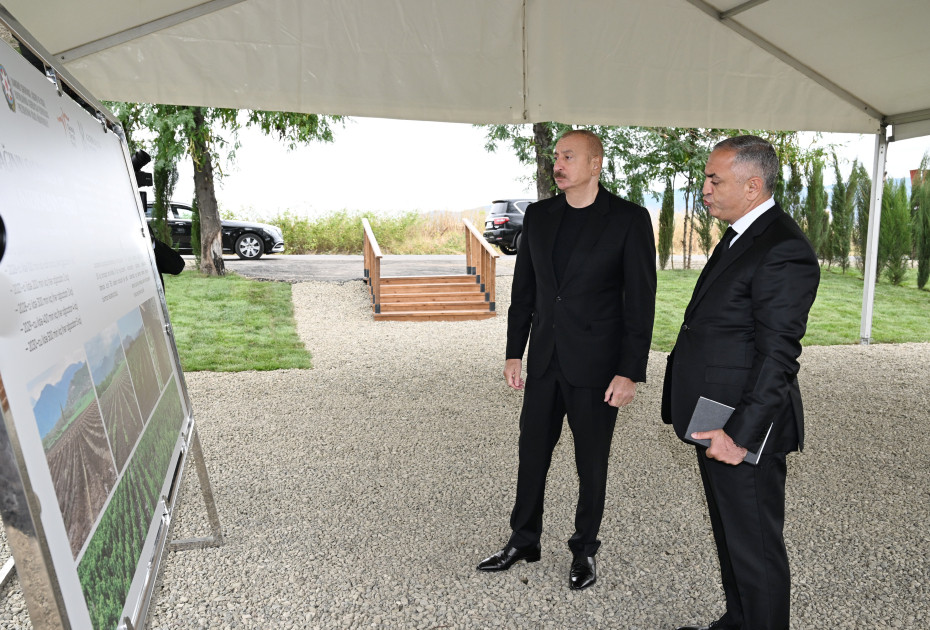 Prezident İlham Əliyev Xocalının Daşbulaq kəndində tut bağında görülmüş işlərlə tanış olub<font color=red> - FOTOLAR</font>