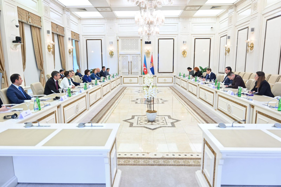 Ana Brnabiç: Azərbaycan Serbiya üçün dost və müttəfiq ölkədir<font color=red> - FOTOLAR</font>