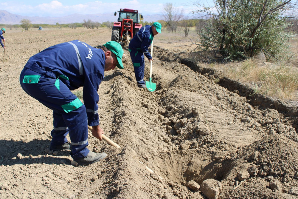Yeni əkin mövsümündən Pircuvar Dövlət Meşəsinin sahəsi genişləndiriləcək<font color=red> - FOTOLAR</font>