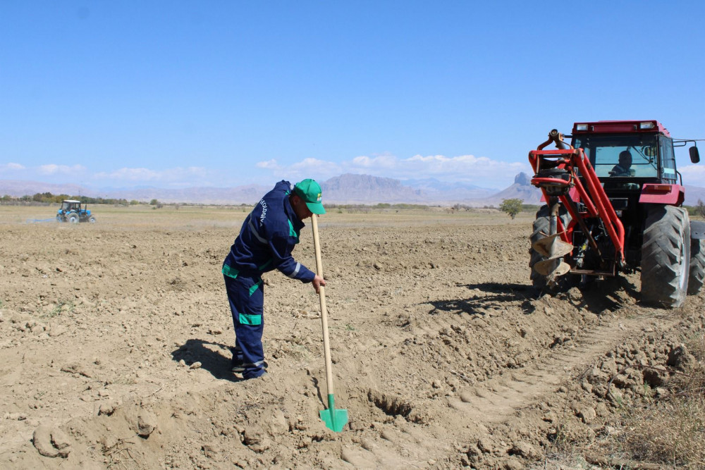 Yeni əkin mövsümündən Pircuvar Dövlət Meşəsinin sahəsi genişləndiriləcək<font color=red> - FOTOLAR</font>