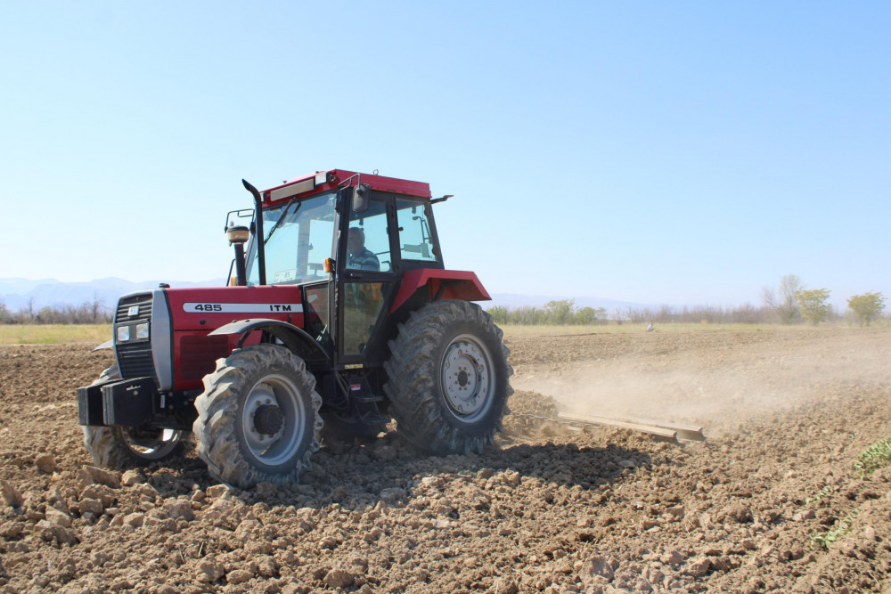 Yeni əkin mövsümündən Pircuvar Dövlət Meşəsinin sahəsi genişləndiriləcək<font color=red> - FOTOLAR</font>