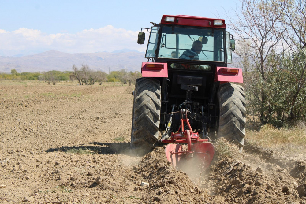 Yeni əkin mövsümündən Pircuvar Dövlət Meşəsinin sahəsi genişləndiriləcək<font color=red> - FOTOLAR</font>