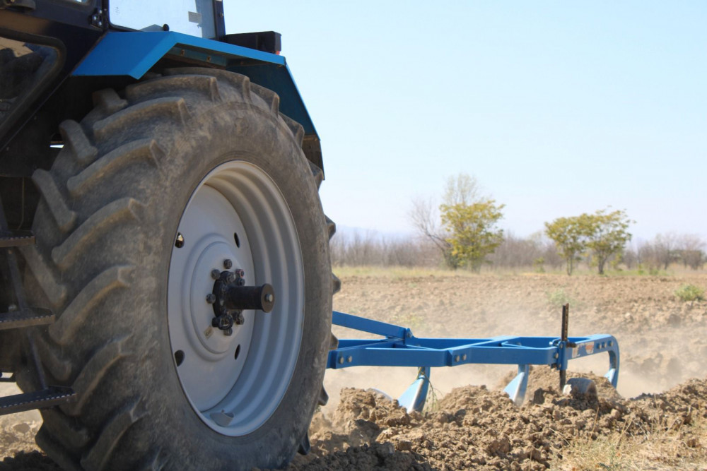 Yeni əkin mövsümündən Pircuvar Dövlət Meşəsinin sahəsi genişləndiriləcək<font color=red> - FOTOLAR</font>