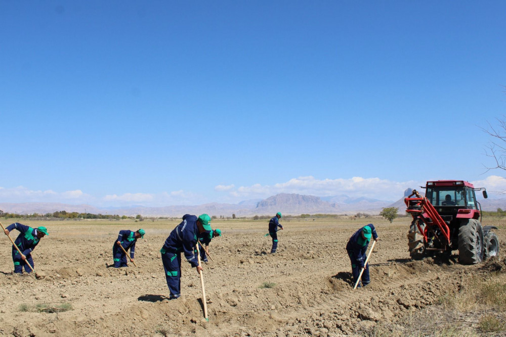Yeni əkin mövsümündən Pircuvar Dövlət Meşəsinin sahəsi genişləndiriləcək<font color=red> - FOTOLAR</font>