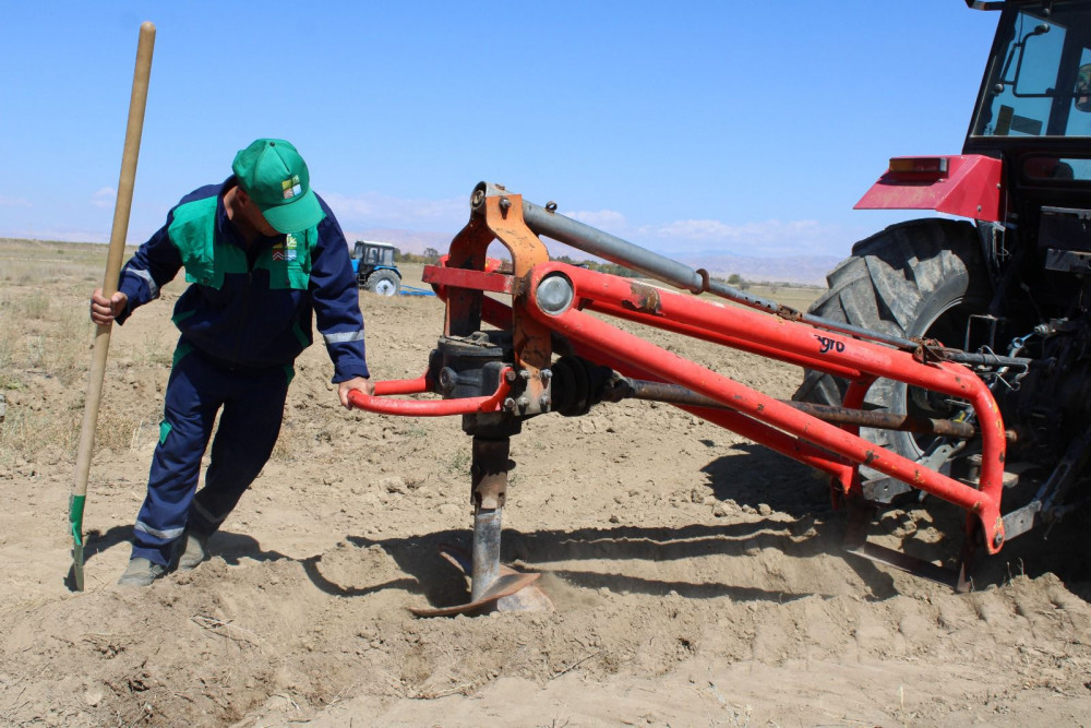 Yeni əkin mövsümündən Pircuvar Dövlət Meşəsinin sahəsi genişləndiriləcək<font color=red> - FOTOLAR</font>