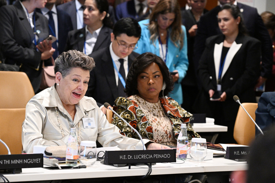 Birinci xanım Mehriban Əliyeva BMT Baş Assambleyası çərçivəsində xüsusi sessiyada iştirak edib<font color=red> - FOTOLAR</font>