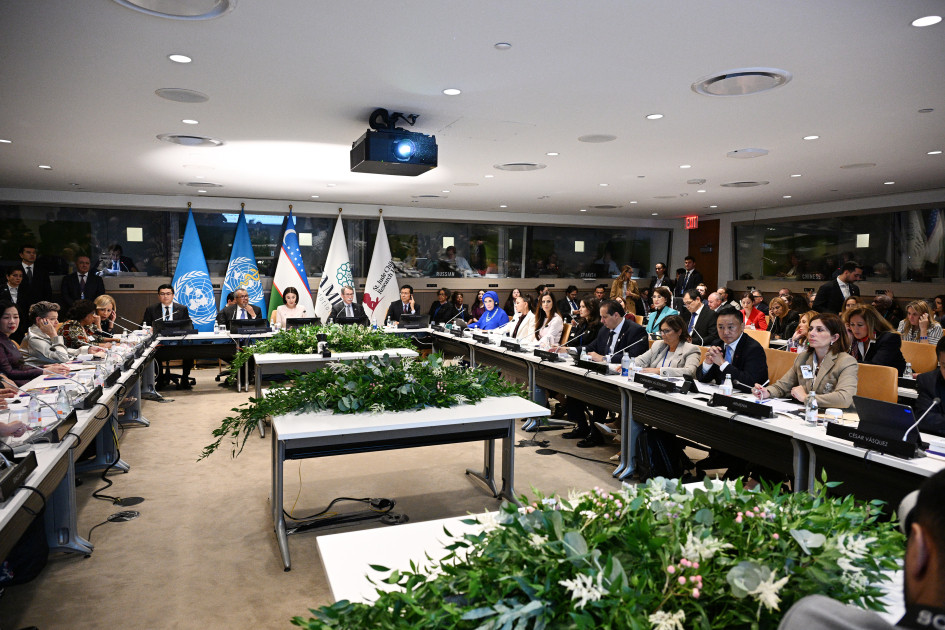 Birinci xanım Mehriban Əliyeva BMT Baş Assambleyası çərçivəsində xüsusi sessiyada iştirak edib<font color=red> - FOTOLAR</font>