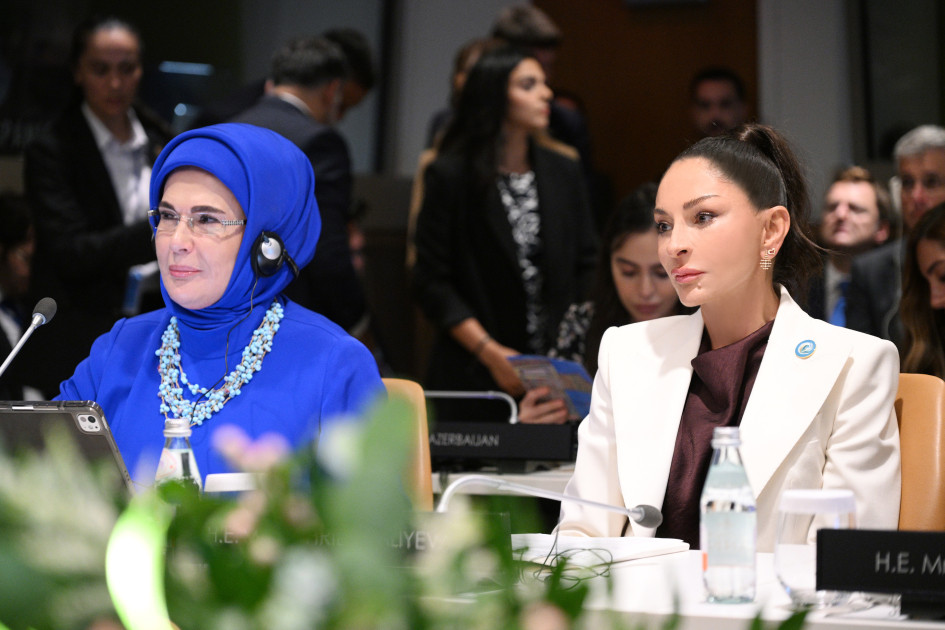 Birinci xanım Mehriban Əliyeva BMT Baş Assambleyası çərçivəsində xüsusi sessiyada iştirak edib<font color=red> - FOTOLAR</font>