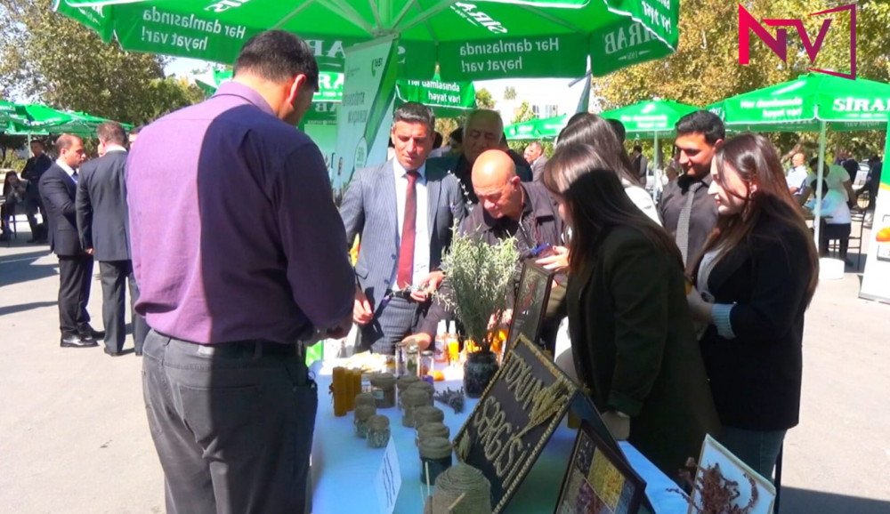 Şərurda toxum sərgi-satış yarmarkası keçirilib<font color=red> - FOTOLAR</font>