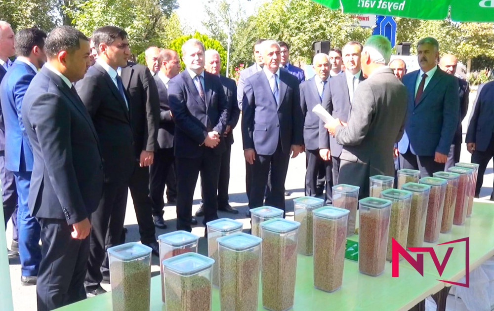 Şərurda toxum sərgi-satış yarmarkası keçirilib<font color=red> - FOTOLAR</font>