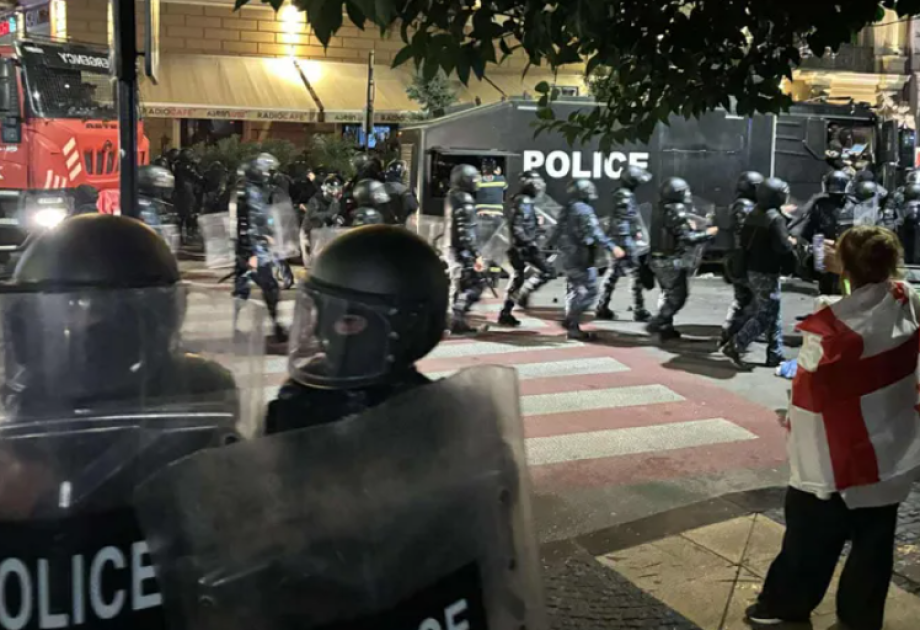 Tbilisidə etirazçılar Prezident sarayının ərazisində daxil olublar<font color=red> - FOTOLAR</font>