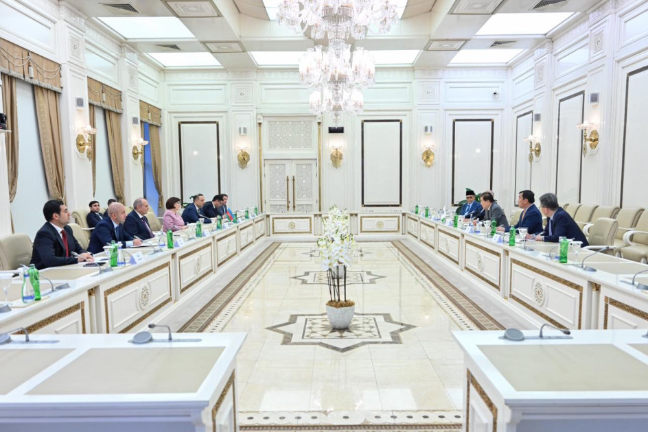 Milli Məclisdə ICAPP nümayəndə heyəti ilə görüş keçirilib<font color=red> - FOTOLAR</font>