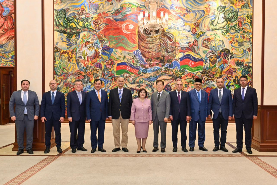 Milli Məclisdə ICAPP nümayəndə heyəti ilə görüş keçirilib<font color=red> - FOTOLAR</font>