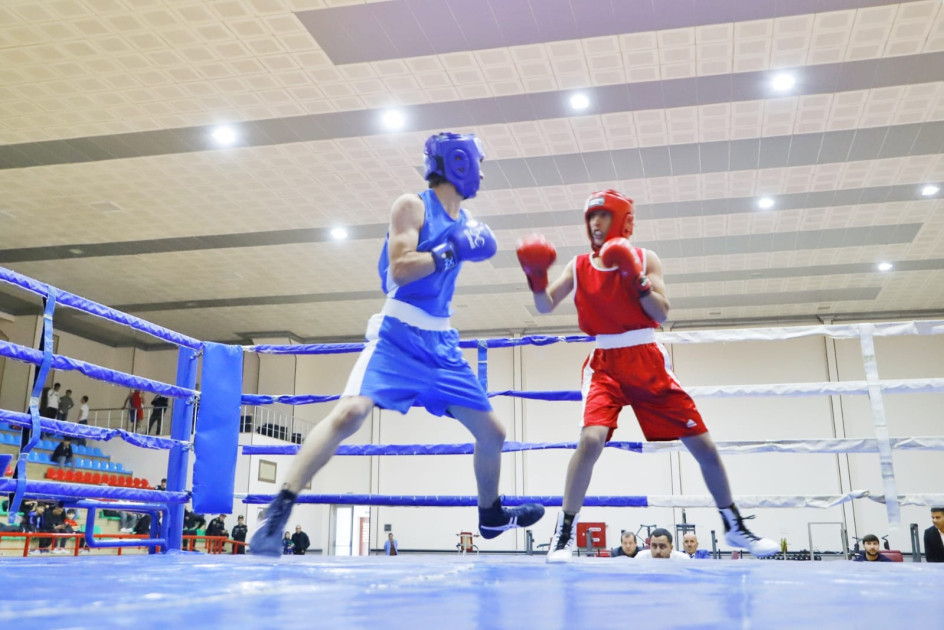 Boks üzrə Naxçıvan birinciliyinə start verilib <font color=red> - FOTOLAR</font>
