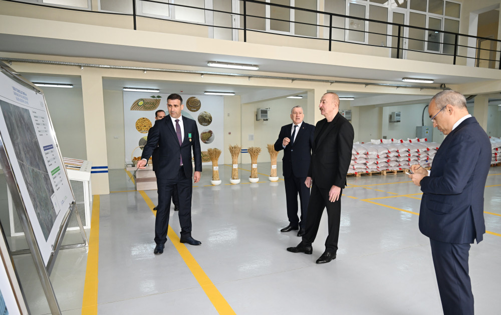Sabirabad Sənaye Məhəlləsində toxum istehsalı müəssisəsinin fəaliyyəti ilə tanışlıq<font color=red> - FOTOLAR</font>