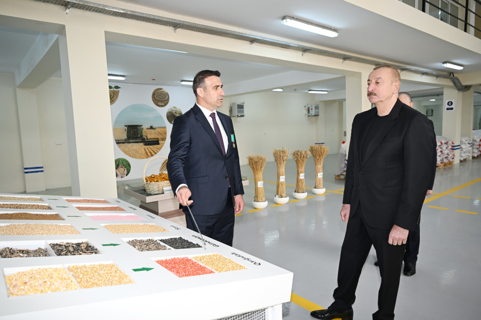 Sabirabad Sənaye Məhəlləsində toxum istehsalı müəssisəsinin fəaliyyəti ilə tanışlıq<font color=red> - FOTOLAR</font>