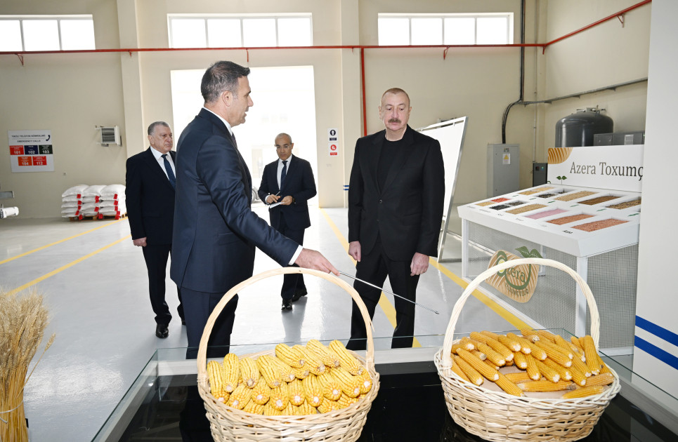 Sabirabad Sənaye Məhəlləsində toxum istehsalı müəssisəsinin fəaliyyəti ilə tanışlıq<font color=red> - FOTOLAR</font>