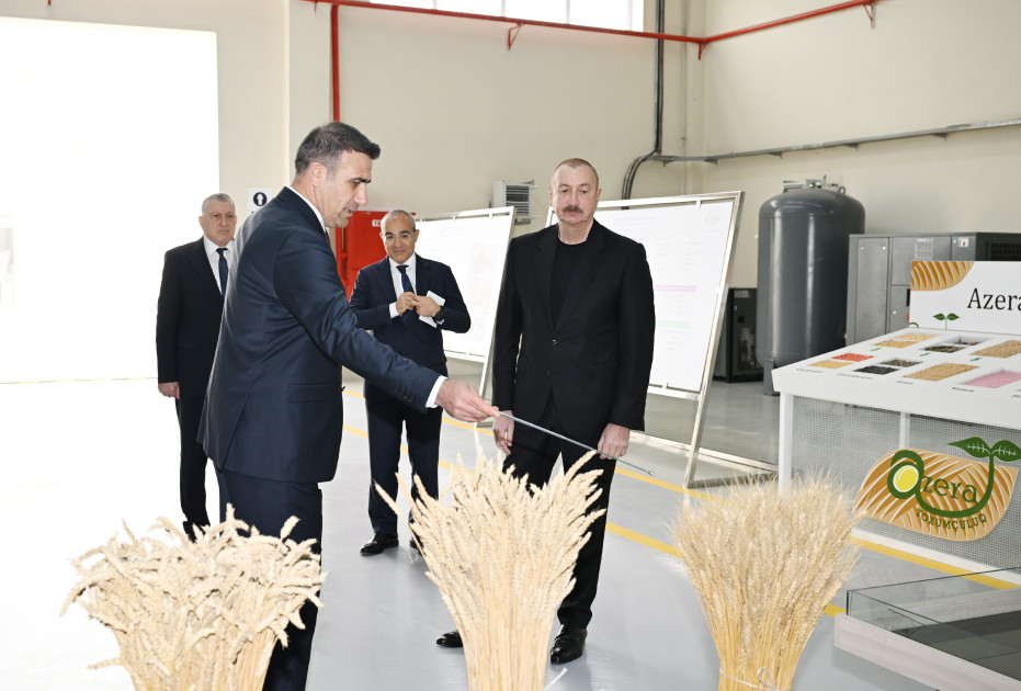 Sabirabad Sənaye Məhəlləsində toxum istehsalı müəssisəsinin fəaliyyəti ilə tanışlıq<font color=red> - FOTOLAR</font>