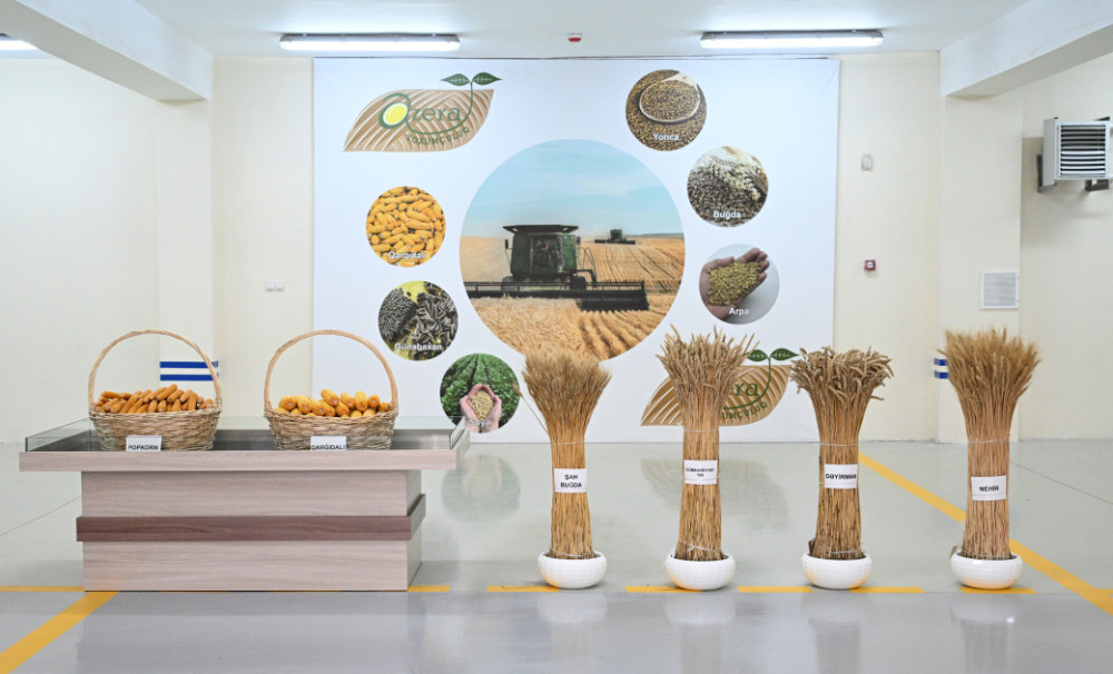 Sabirabad Sənaye Məhəlləsində toxum istehsalı müəssisəsinin fəaliyyəti ilə tanışlıq<font color=red> - FOTOLAR</font>