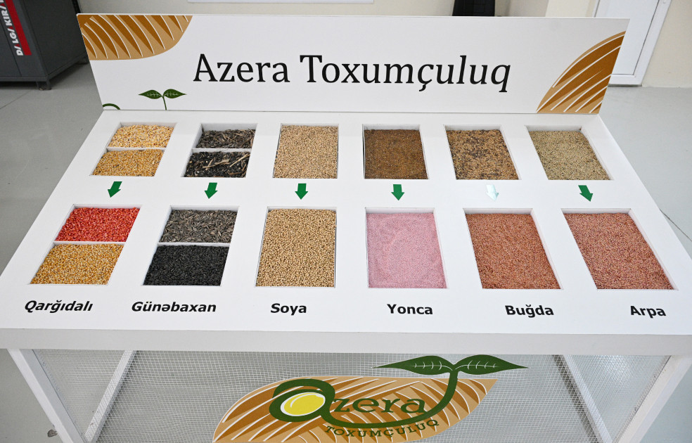 Sabirabad Sənaye Məhəlləsində toxum istehsalı müəssisəsinin fəaliyyəti ilə tanışlıq<font color=red> - FOTOLAR</font>