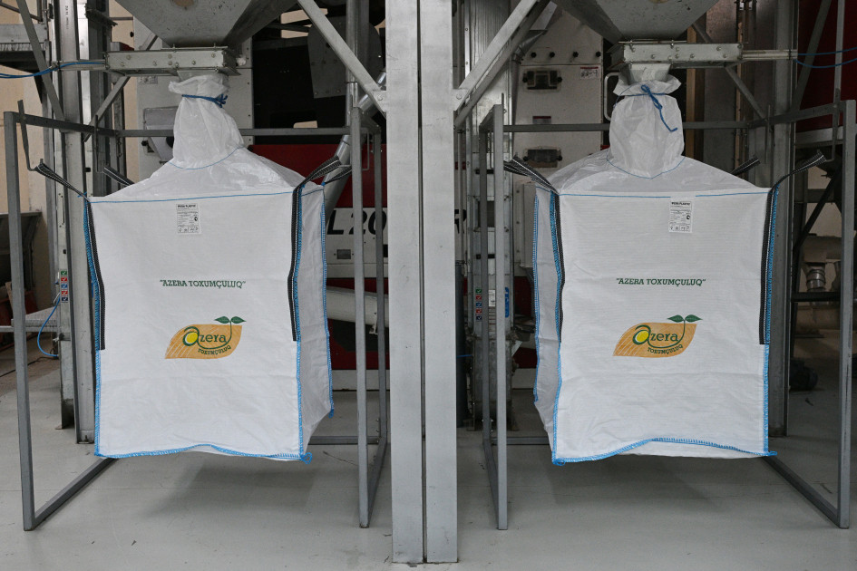 Sabirabad Sənaye Məhəlləsində toxum istehsalı müəssisəsinin fəaliyyəti ilə tanışlıq<font color=red> - FOTOLAR</font>