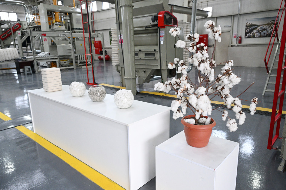 Prezident İlham Əliyev Sabirabadda pambıq emalı zavodunun fəaliyyəti ilə tanış olub<font color=red> - FOTOLAR</font>