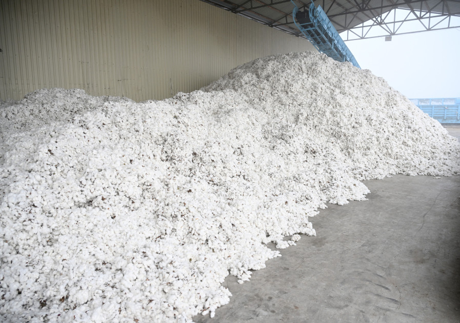 Prezident İlham Əliyev Sabirabadda pambıq emalı zavodunun fəaliyyəti ilə tanış olub<font color=red> - FOTOLAR</font>